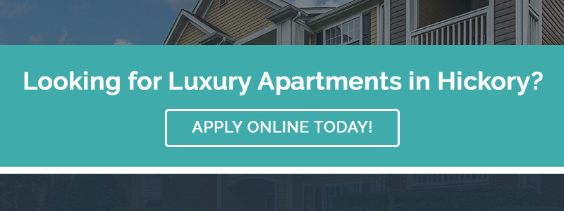 CTA - Looking for Luxury Apartments in Hickory